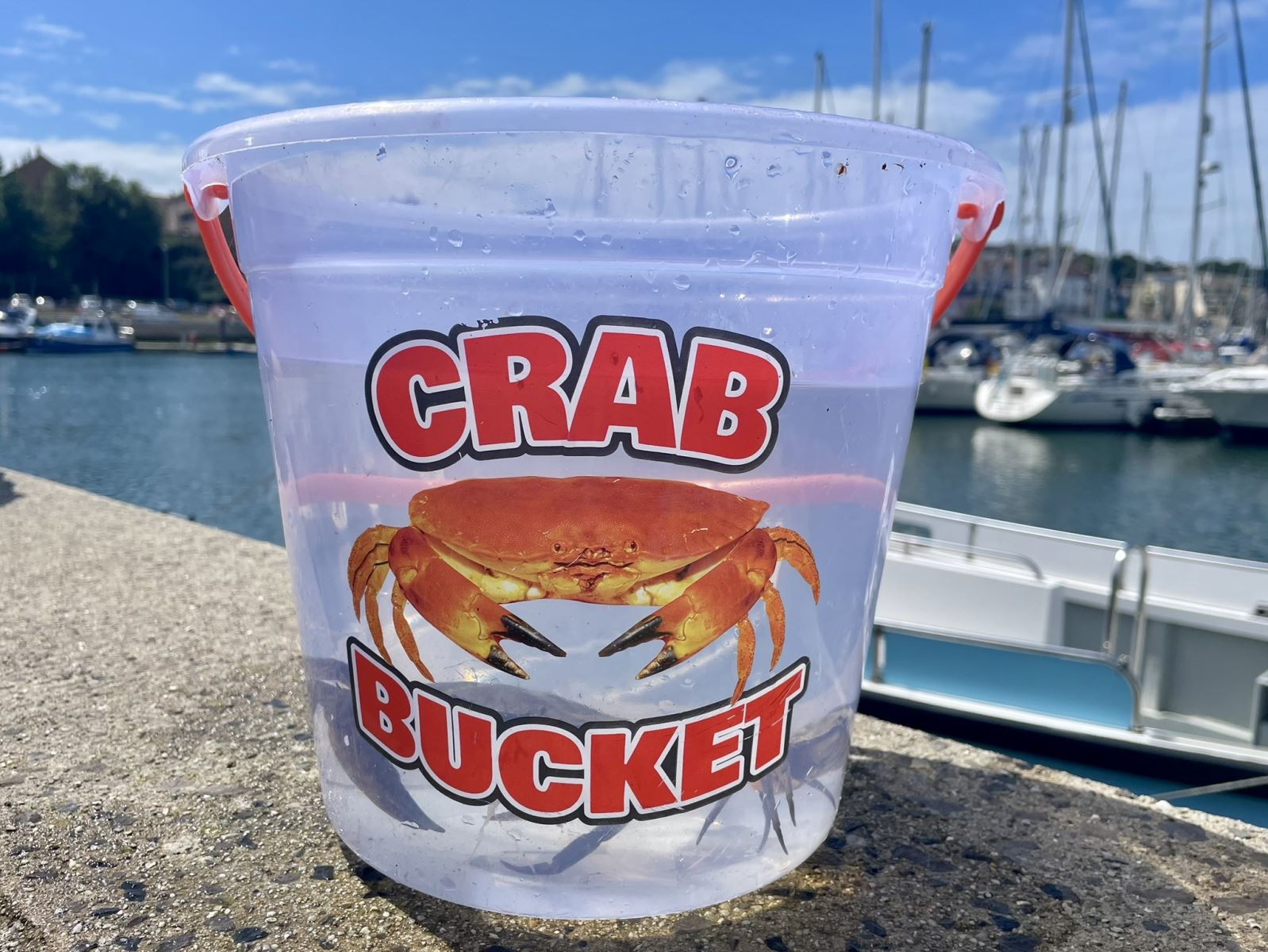 Catching Crabs